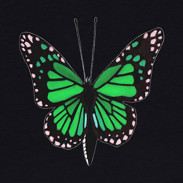 Butterfly 02p, transparent background by kensor